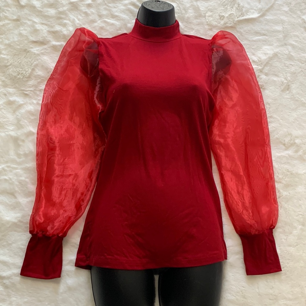 Ladies sheer long sleeve blouse